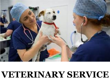 veterinaryservice
